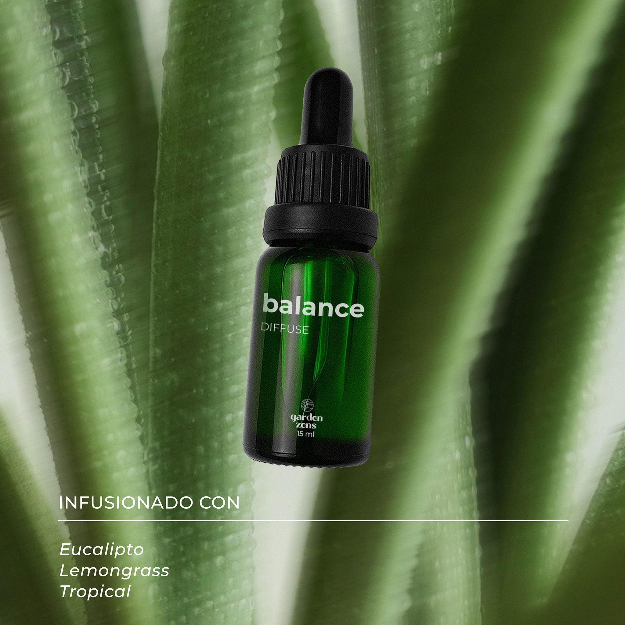 Balance