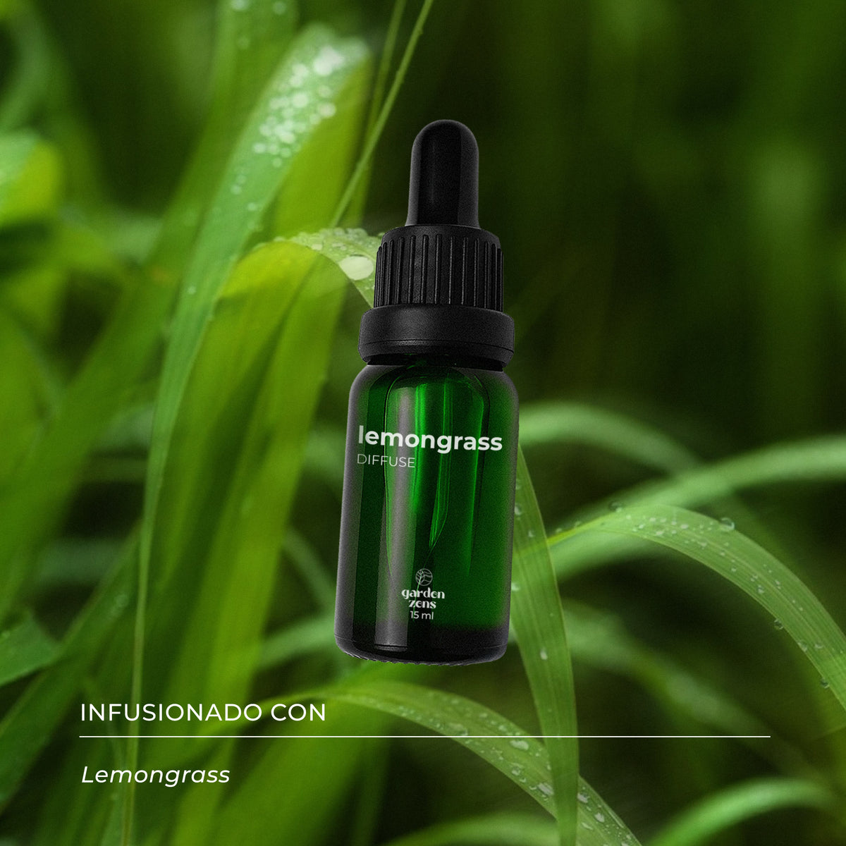 Lemongrass