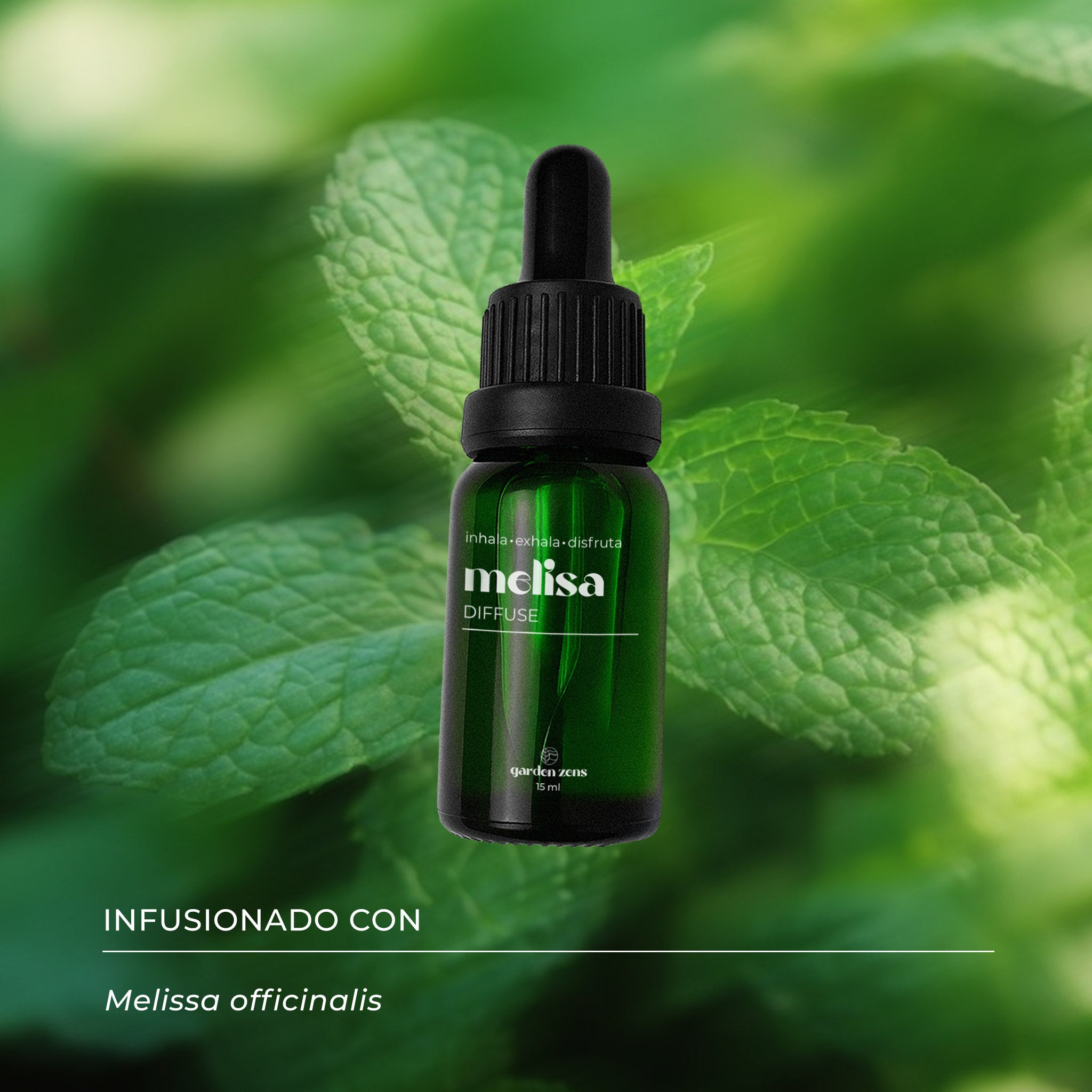 Melisa
