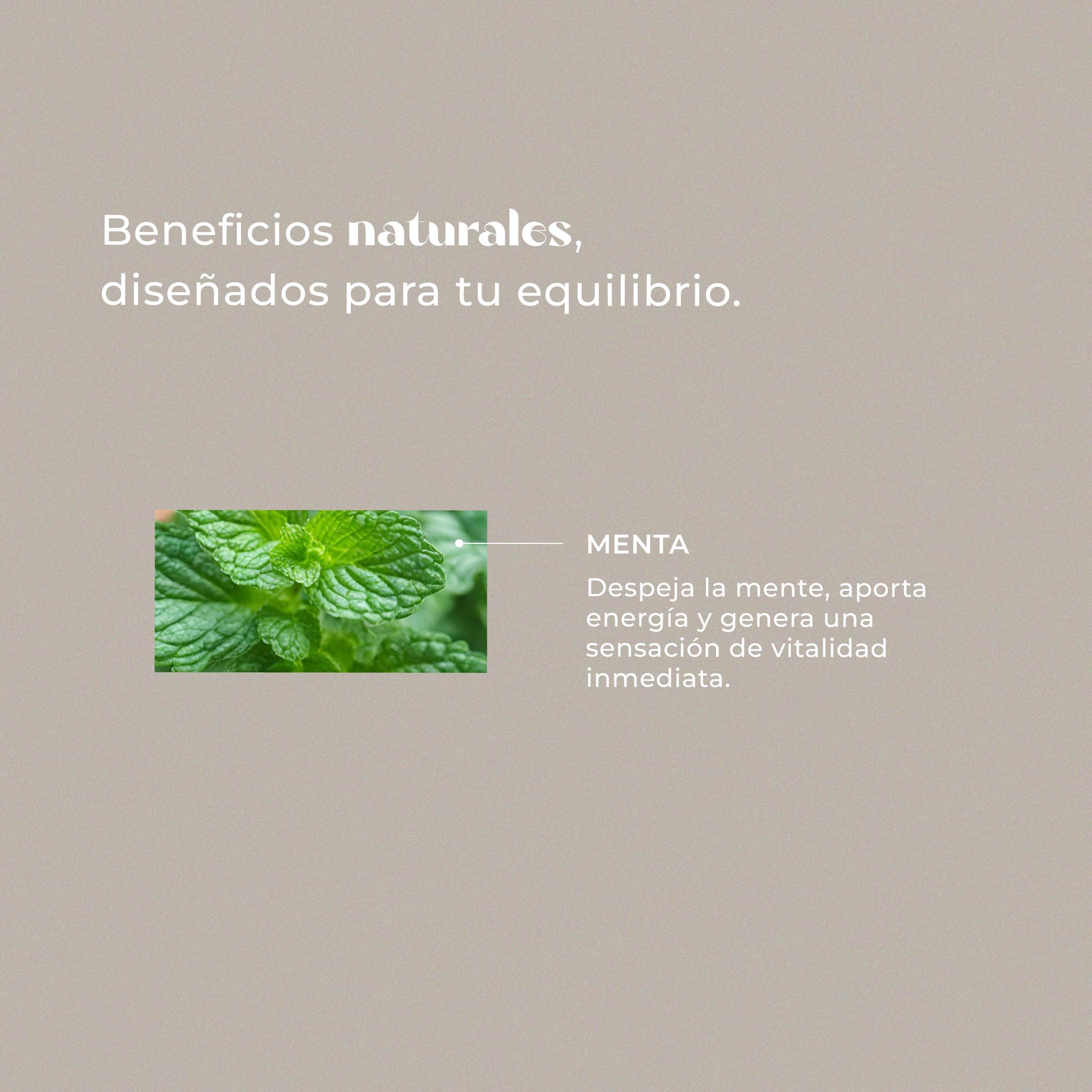 Menta