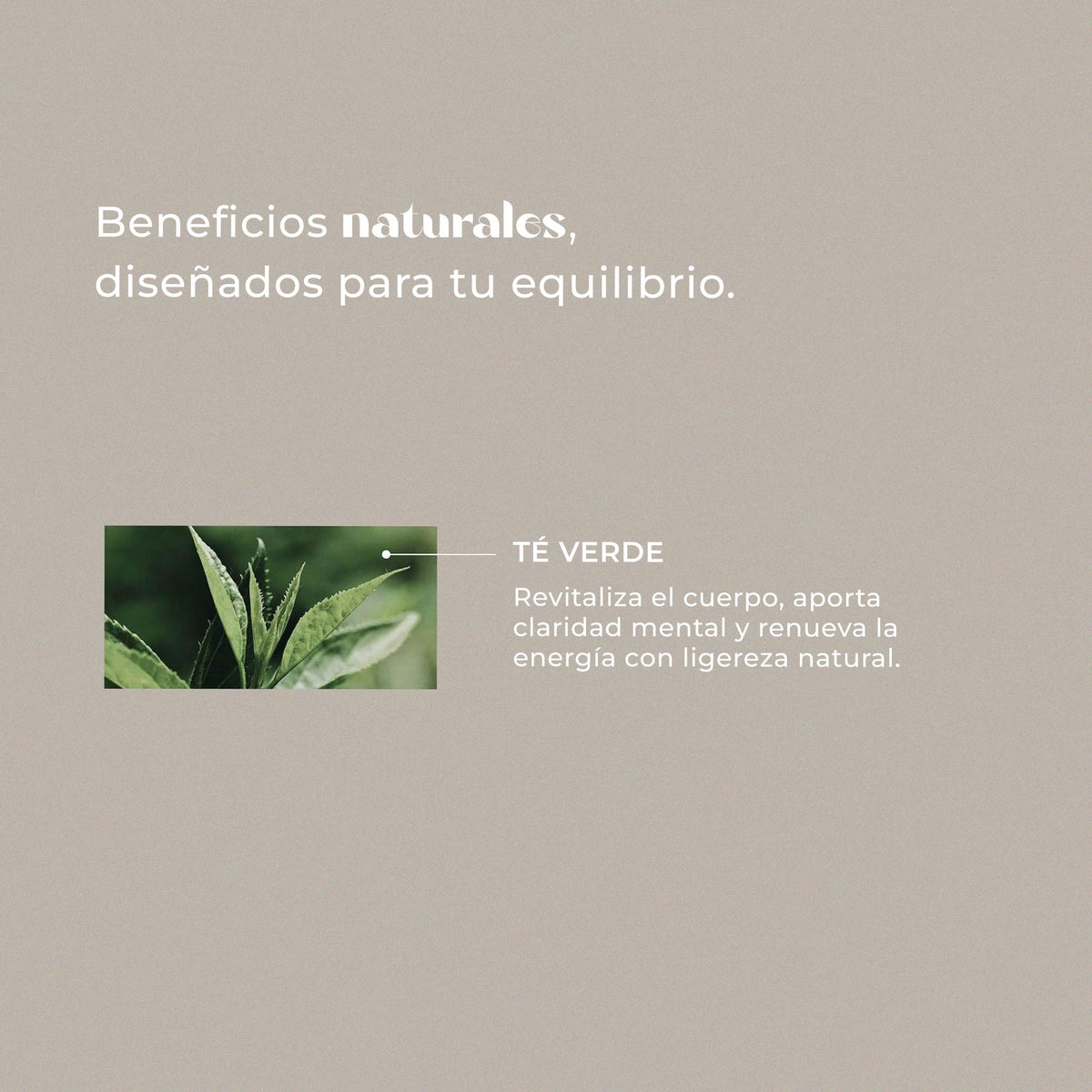 Té verde