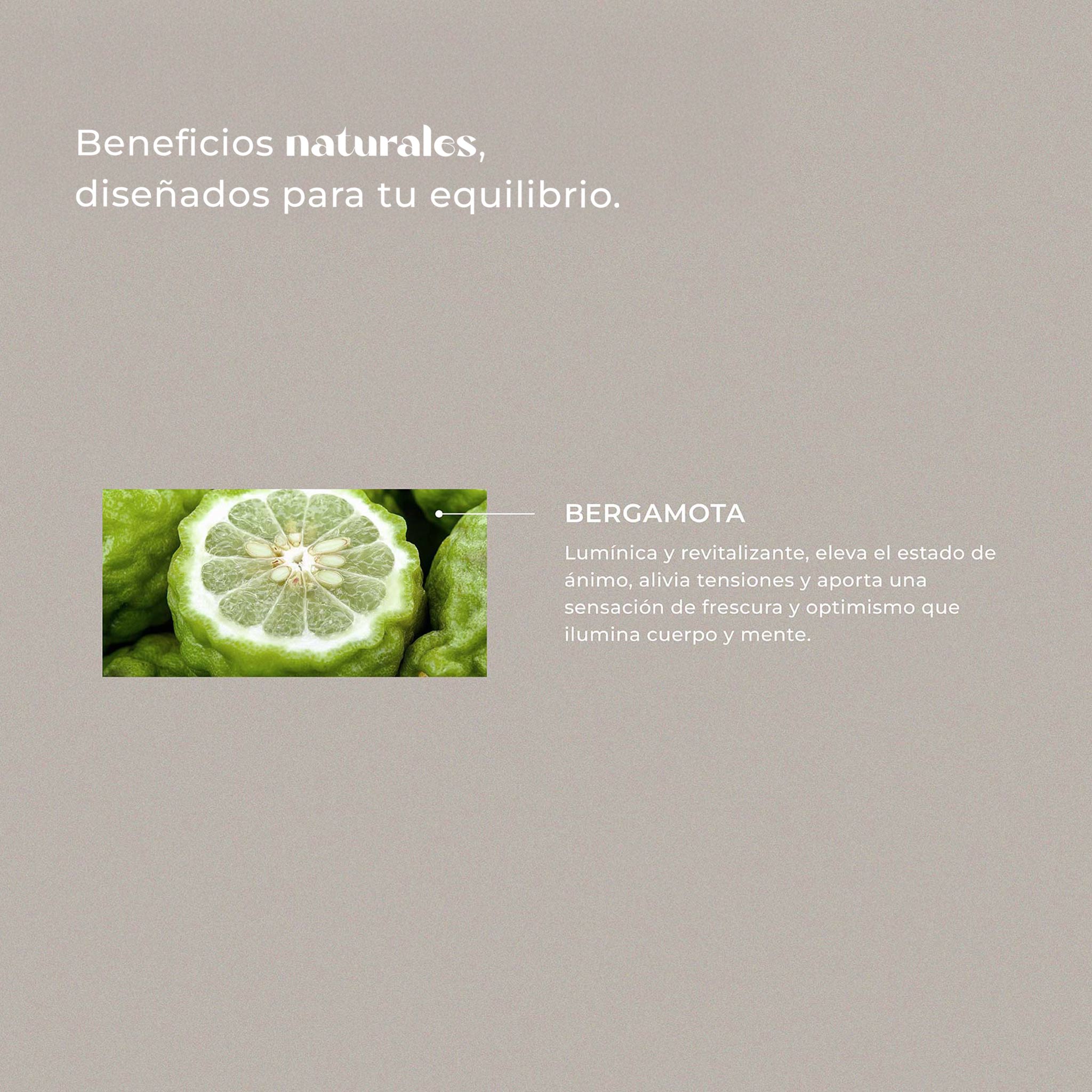 Bergamota