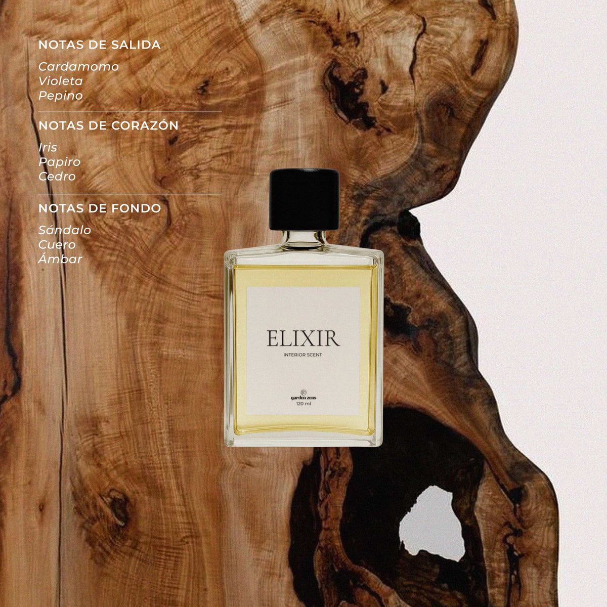 Elixir