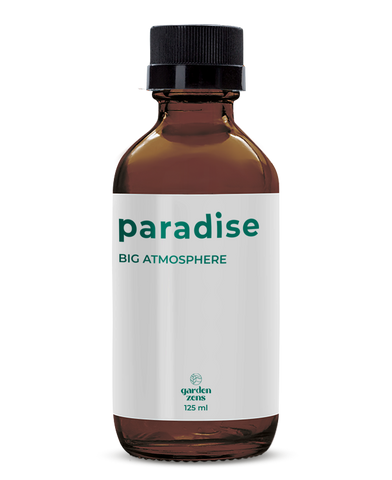 Paradise 125ml