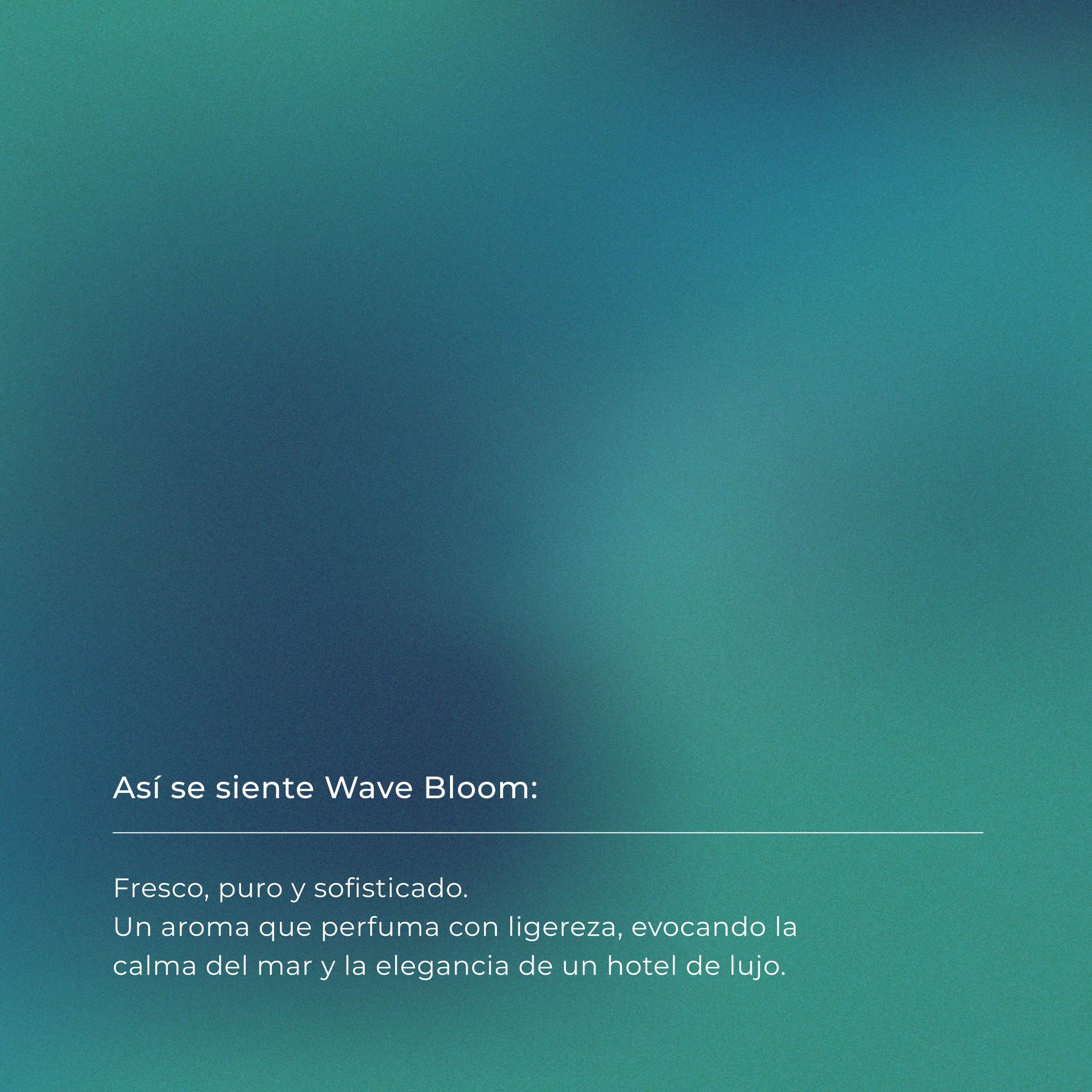 Wave Bloom
