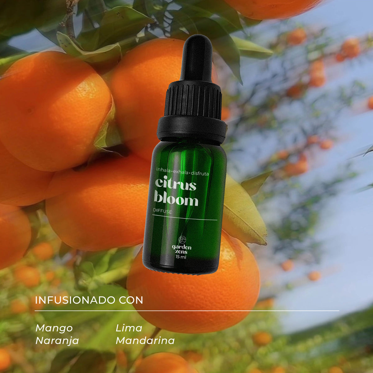 Citrus Bloom