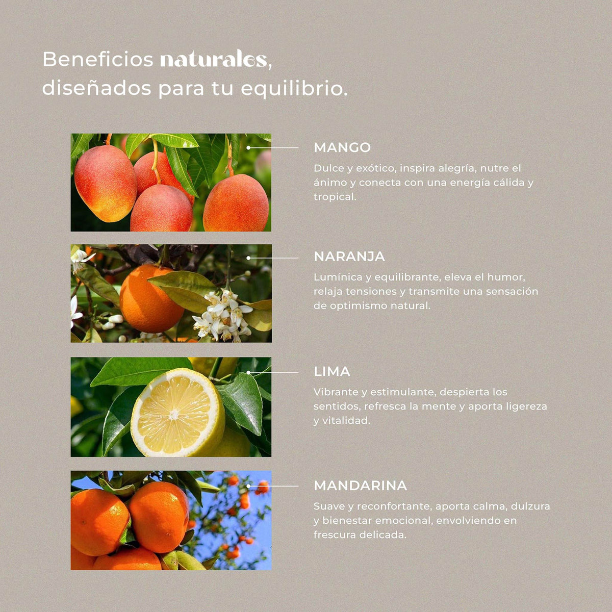 Citrus Bloom