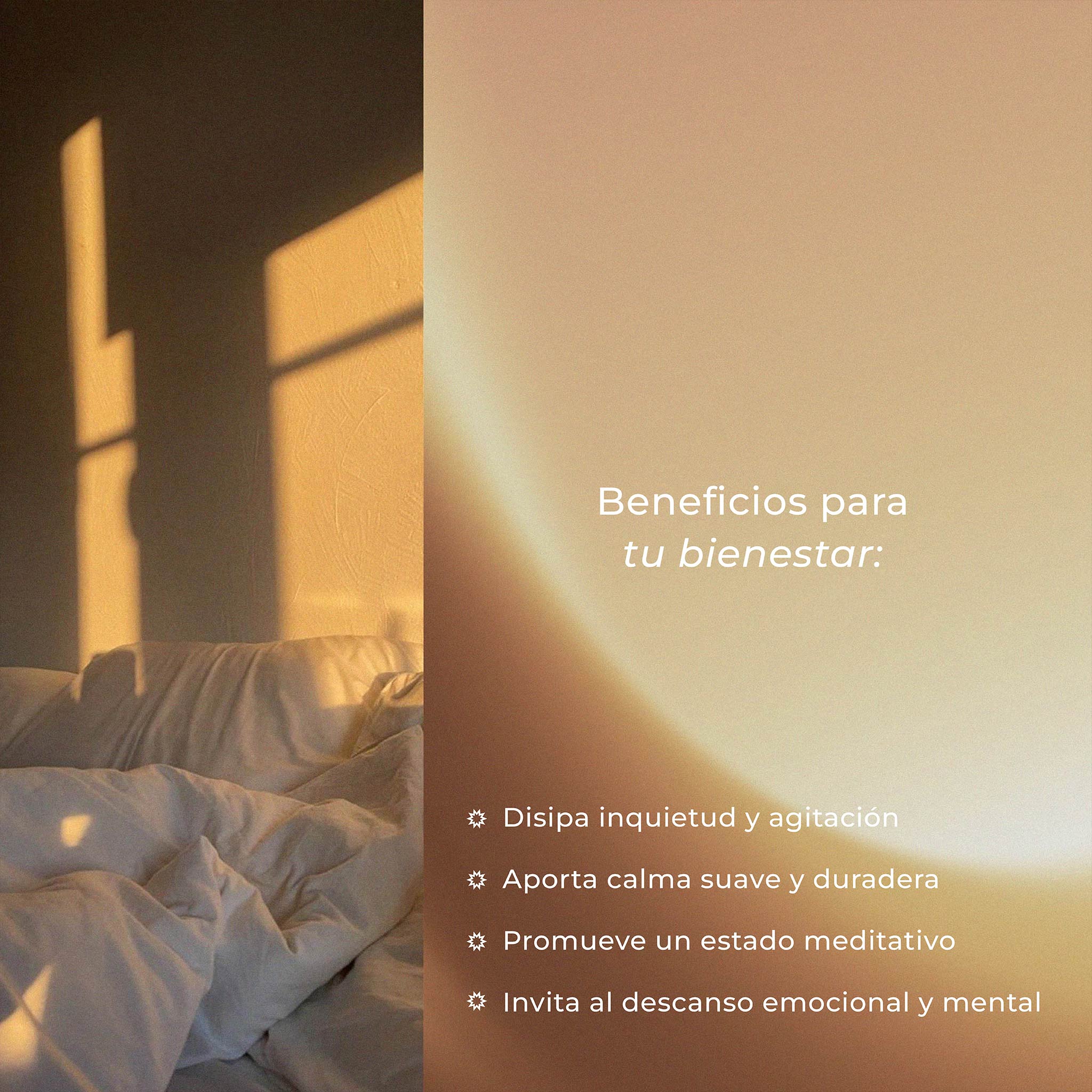 Dream