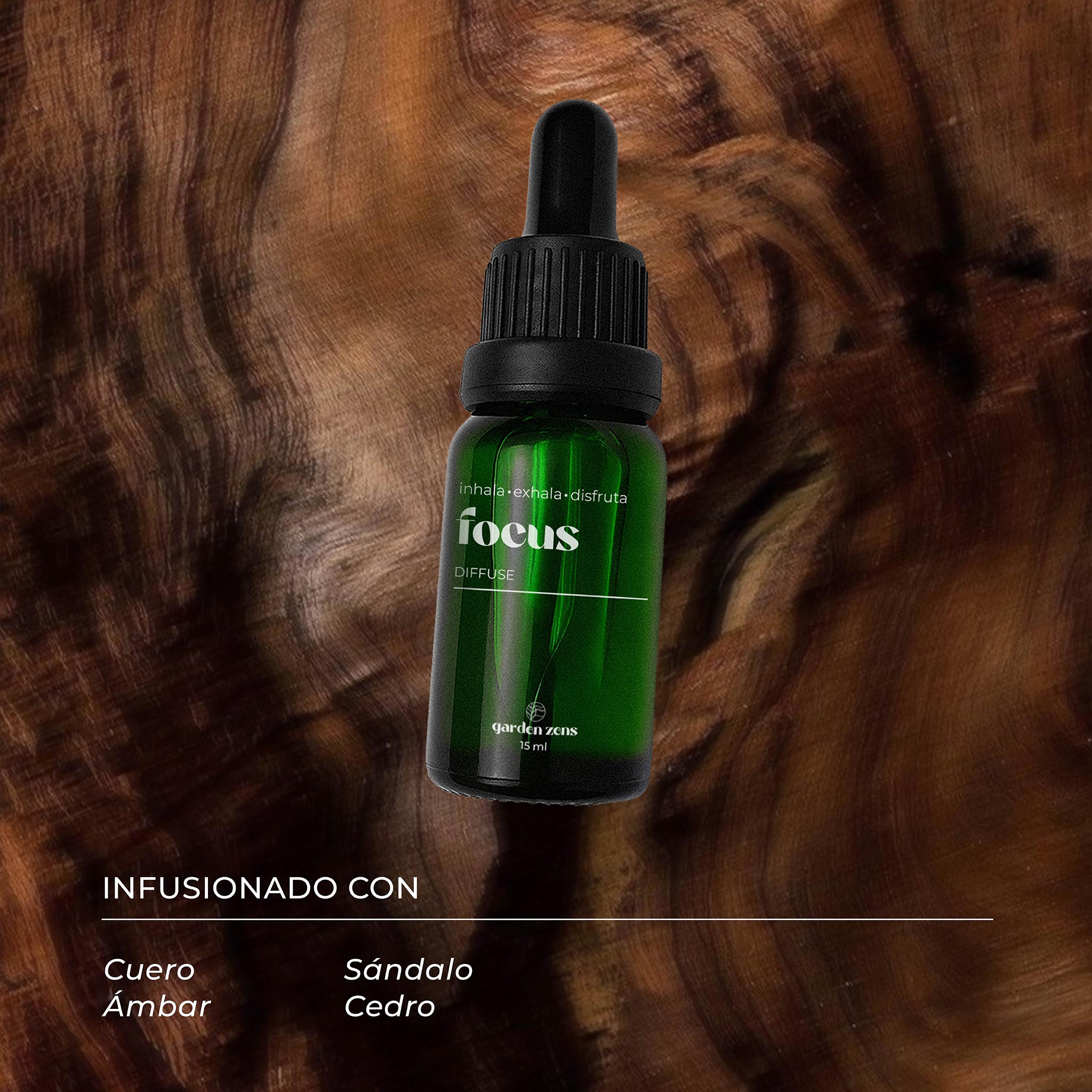 Kit Energía & Enfoque