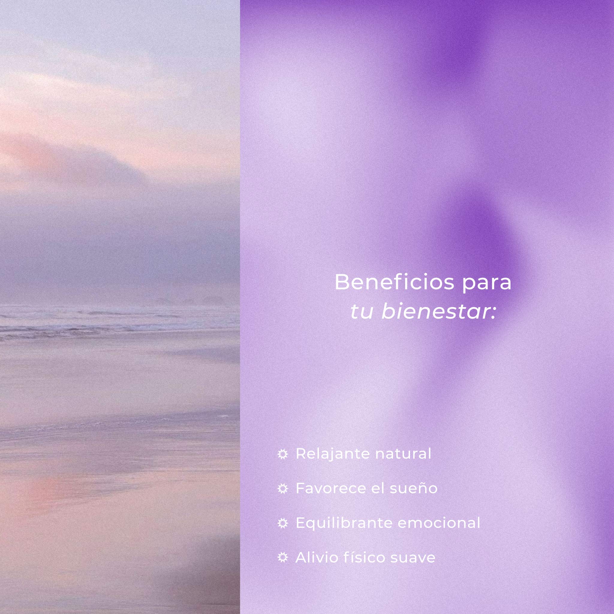 Lavanda