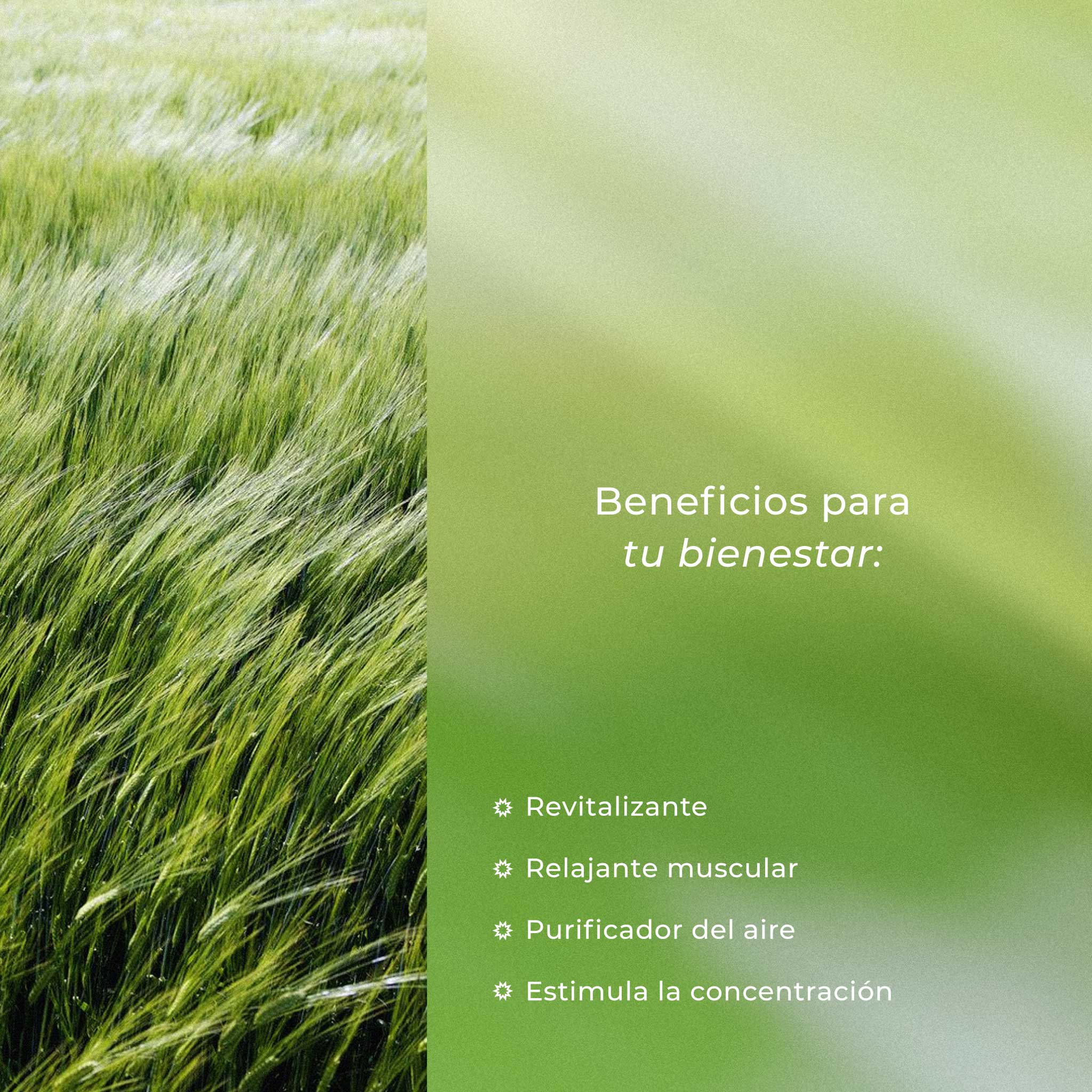 Lemongrass