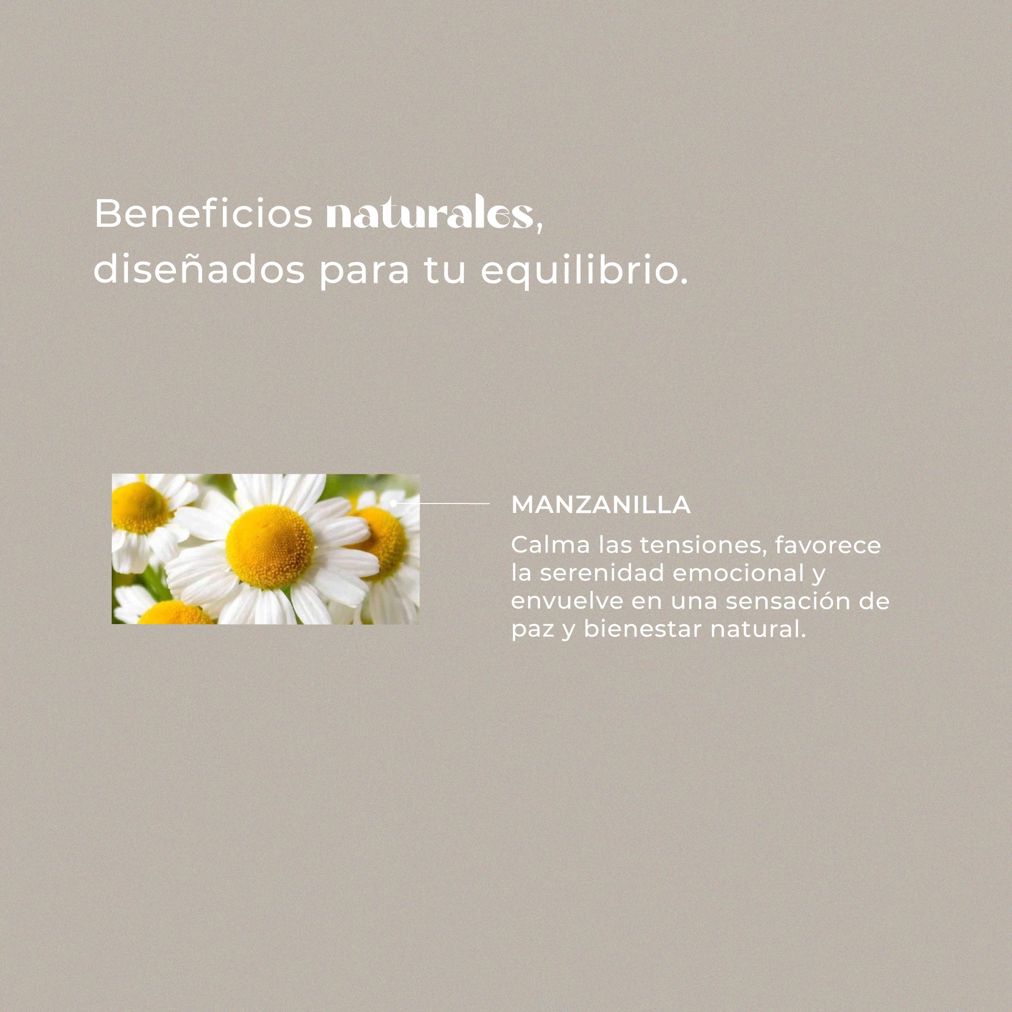 Manzanilla