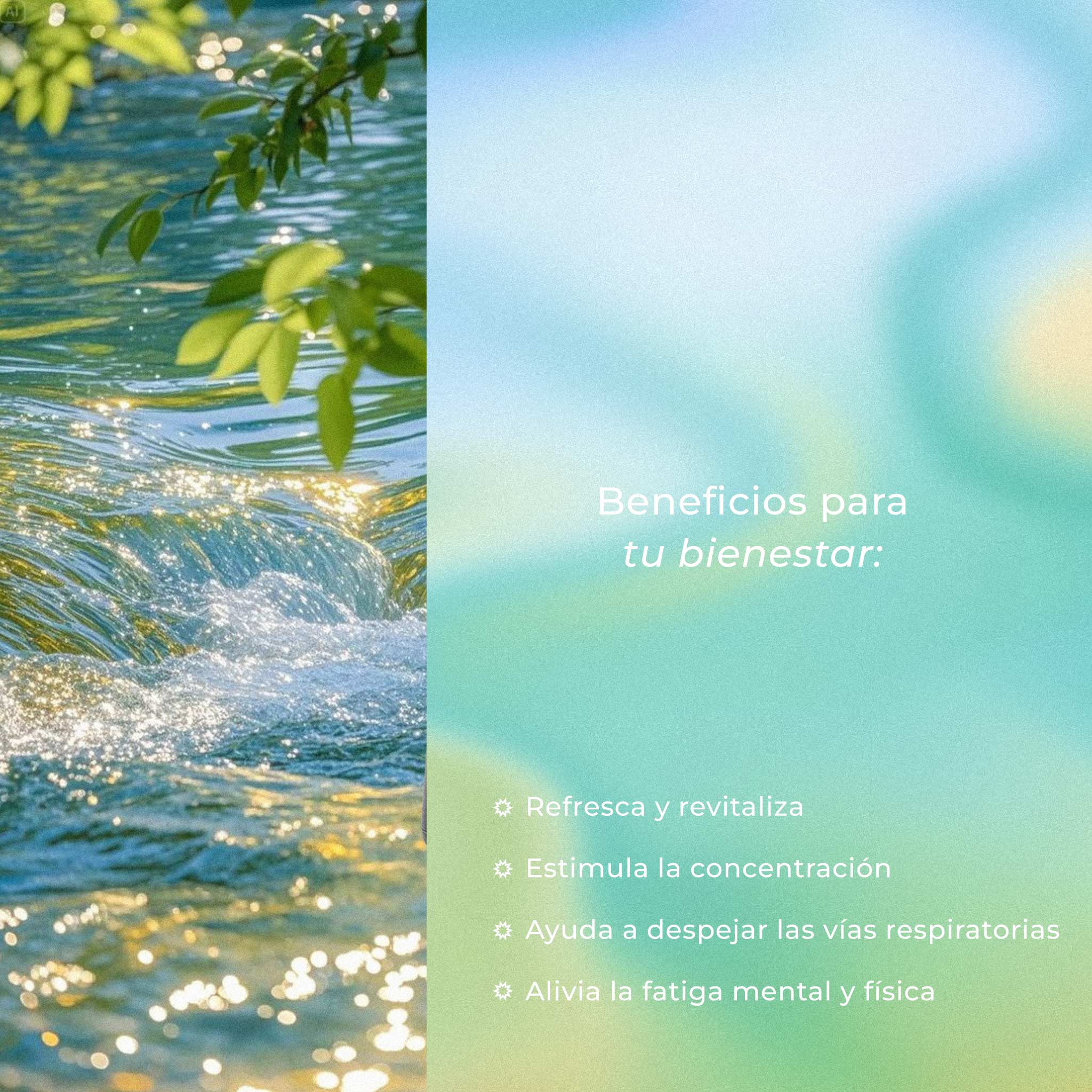 Menta
