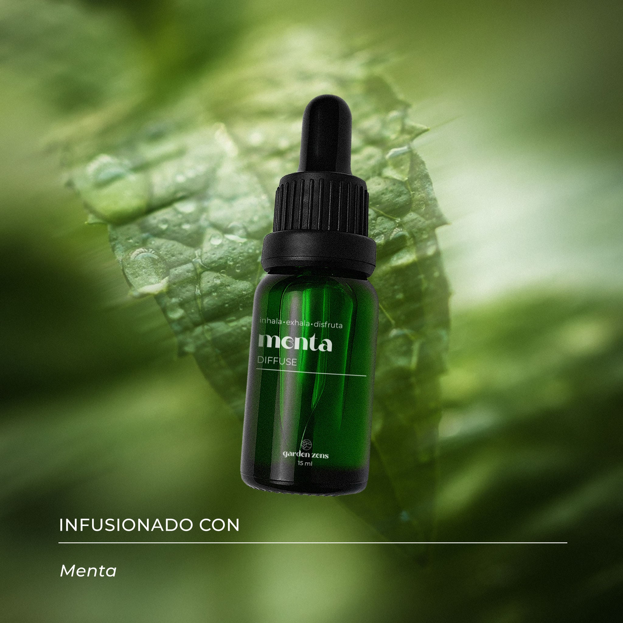Menta