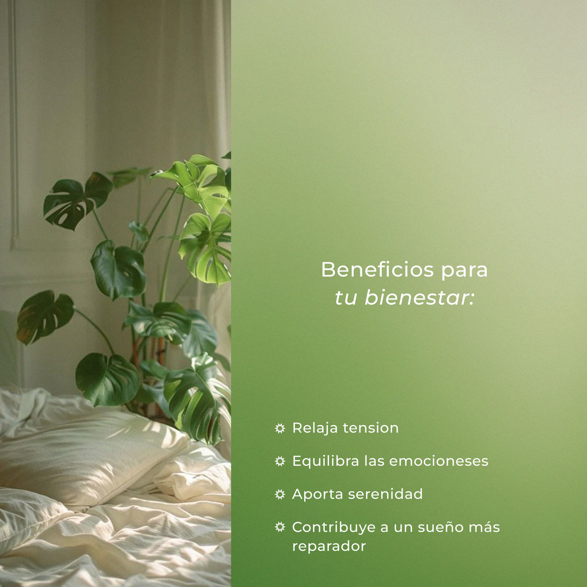 Té verde