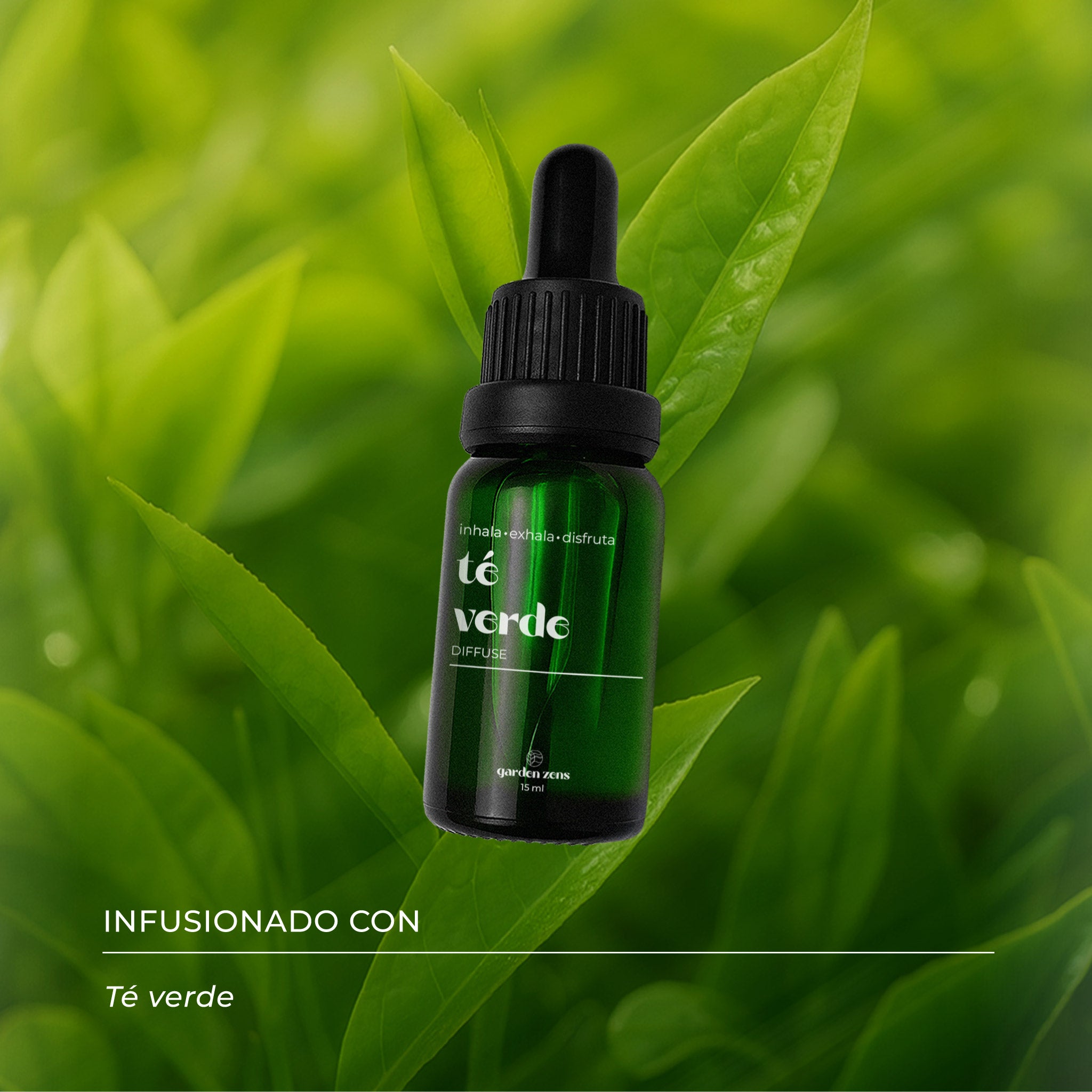 Kit Energía & Enfoque