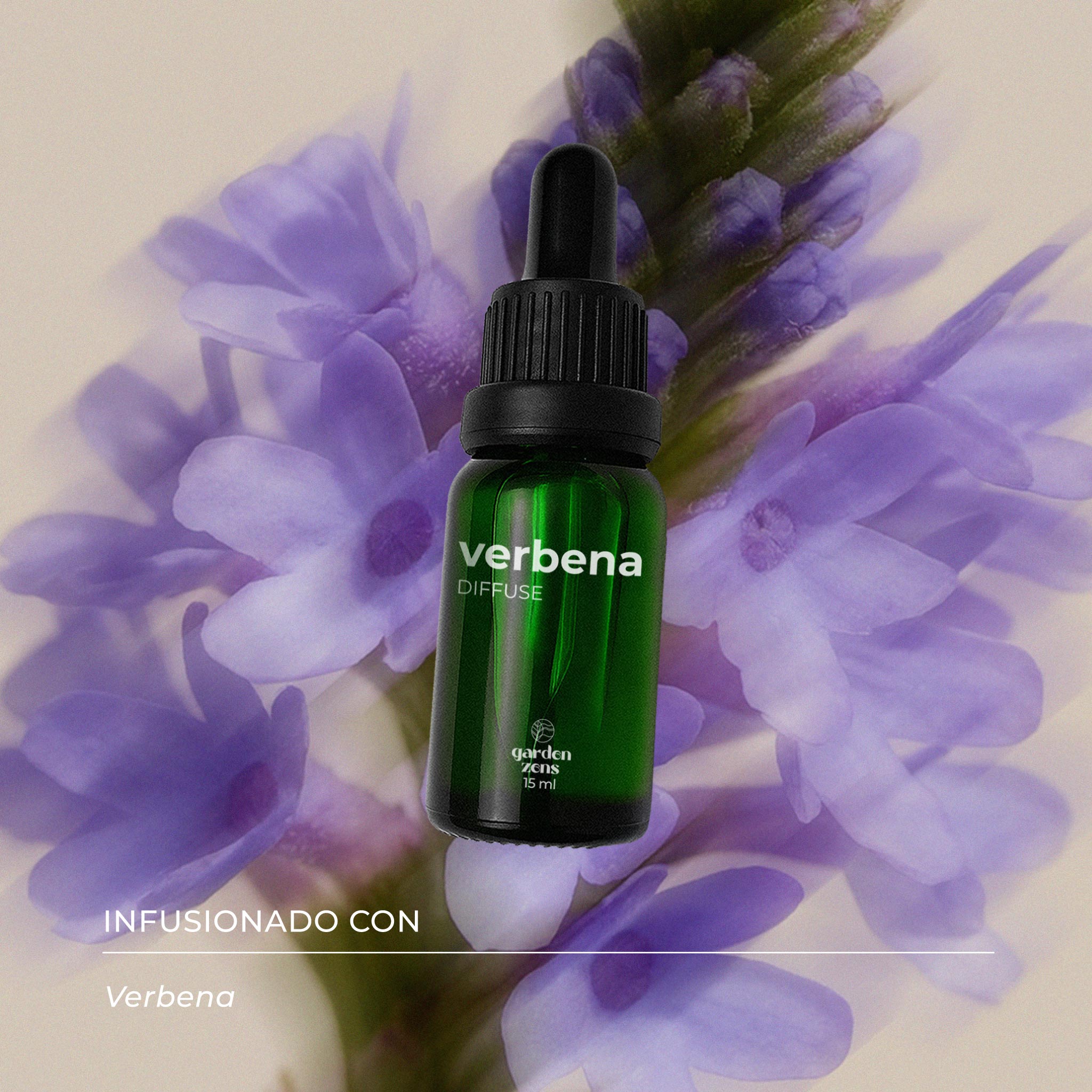 Verbena